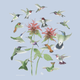Hummingbirds T-Shirt
